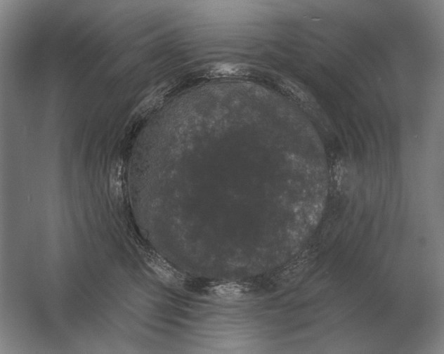 X0000061730423200512161627