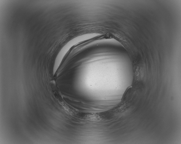 X0000061730424200512161627