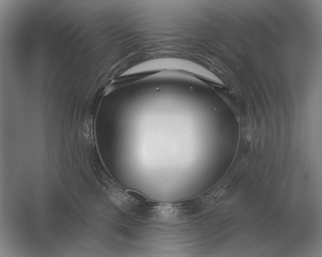 X0000061730425200512161627