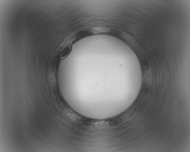 X0000061730426200512161627