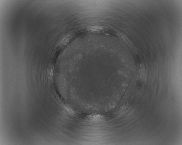 X0000061730427200512161627