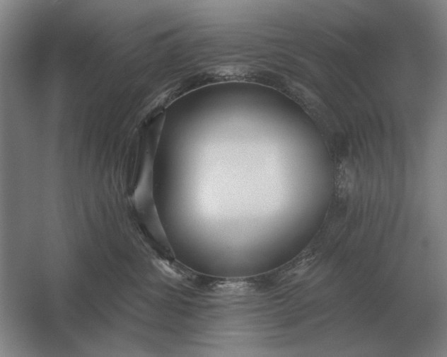 X0000061730428200512161627