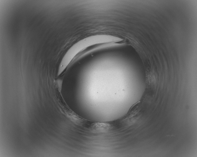 X0000061730429200512161627