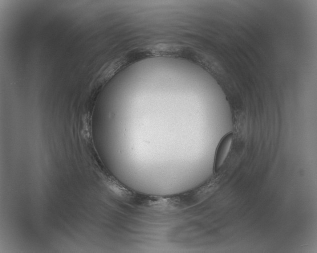 X0000061730430200512161627