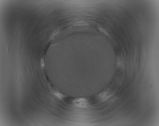 X0000061730431200512161627