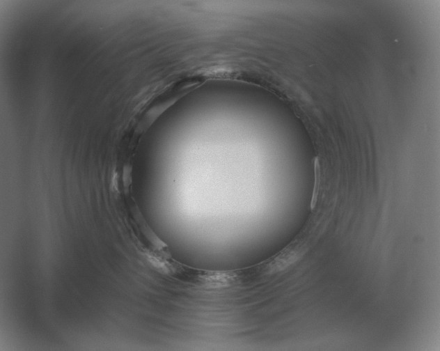 X0000061730432200512161627