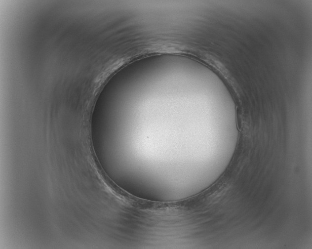 X0000061730433200512161626