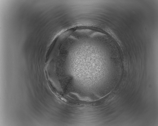 X0000061730434200512161626