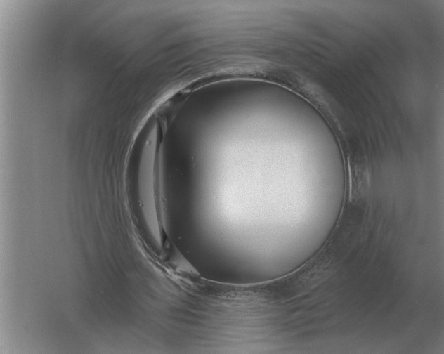 X0000061730435200512161626