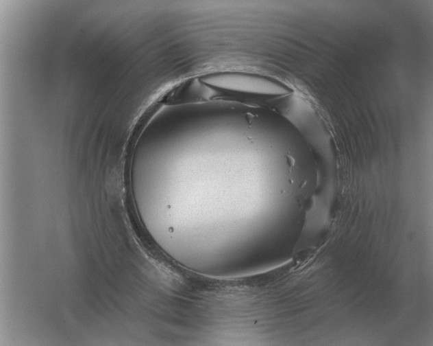 X0000061730438200512161626