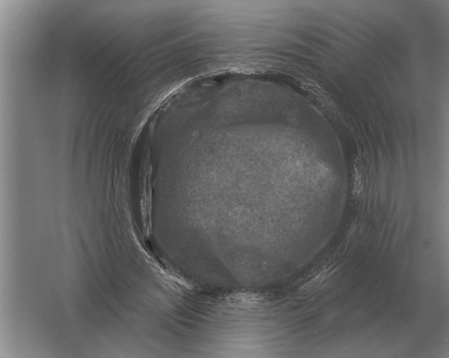 X0000061730444200512161626