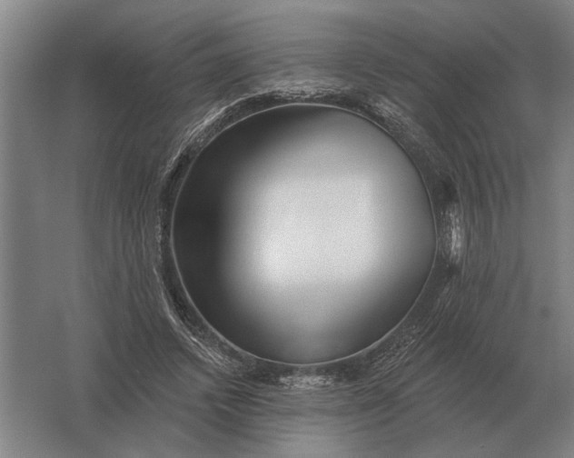 X0000061730448200512161627