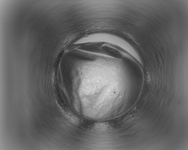 X0000061730451200512161627