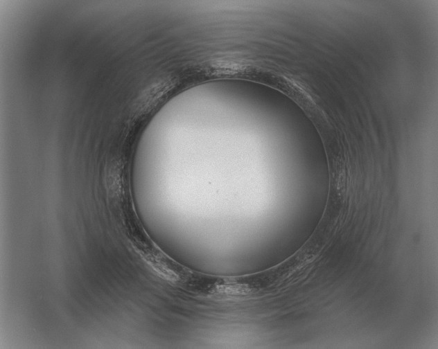 X0000061730455200512161627