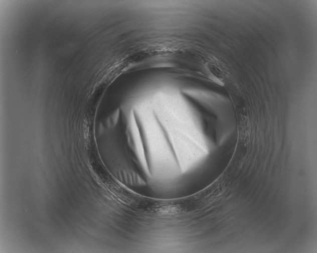 X0000061730456200512161627