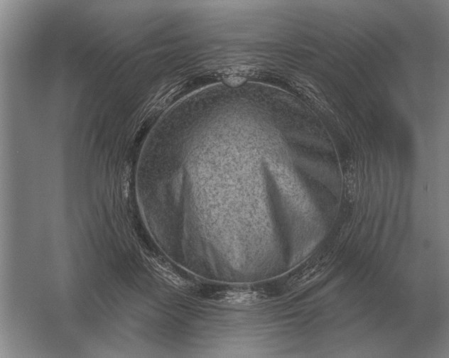 X0000061730458200512161627