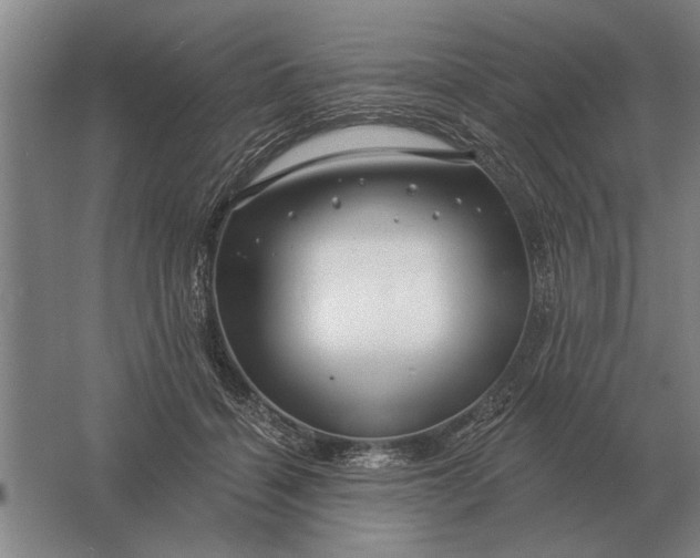 X0000061730460200512161627