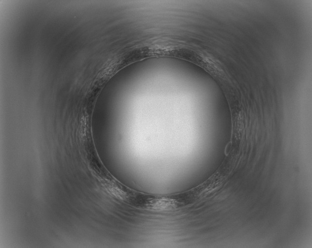 X0000061730463200512161627