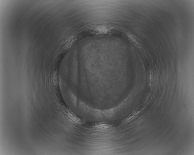 X0000061730467200512161627