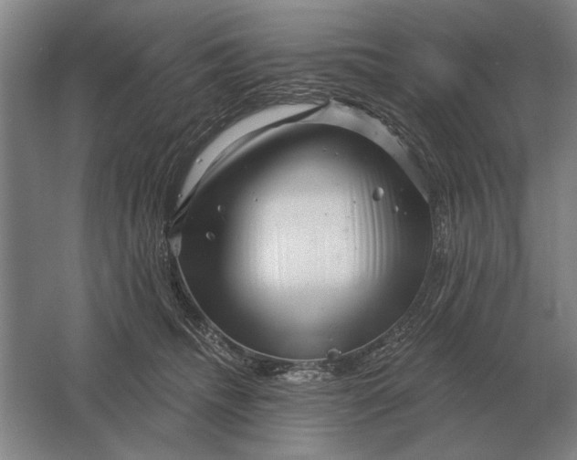 X0000061730468200512161627