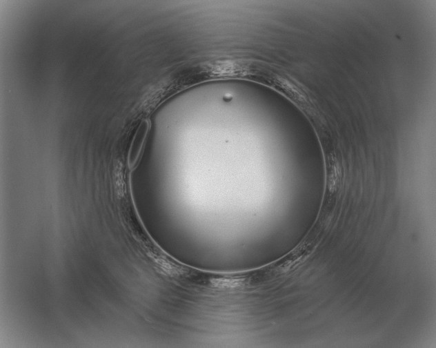 X0000061730469200512161627