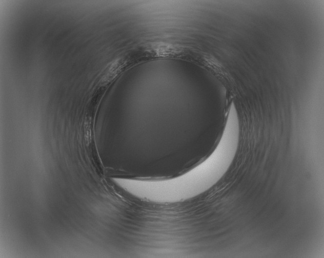 X0000061730471200512161627