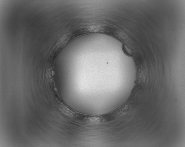 X0000061730473200512161627