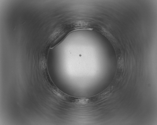 X0000061730474200512161627