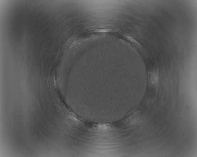 X0000061730475200512161627