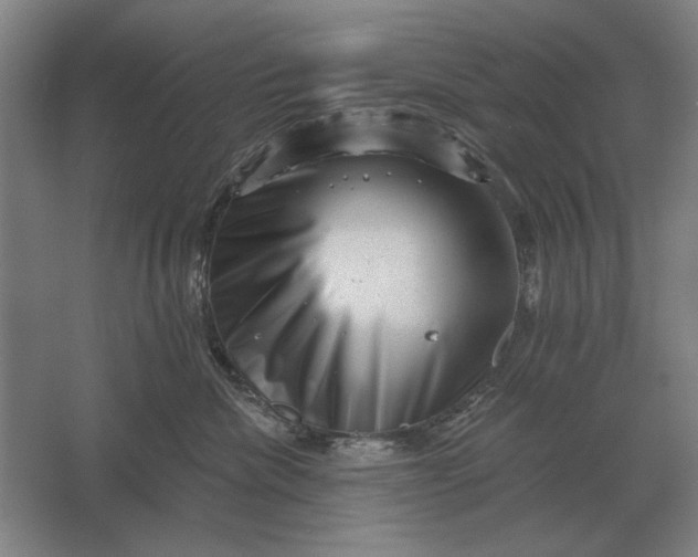 X0000061730476200512161627