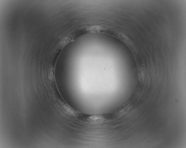 X0000061730477200512161627