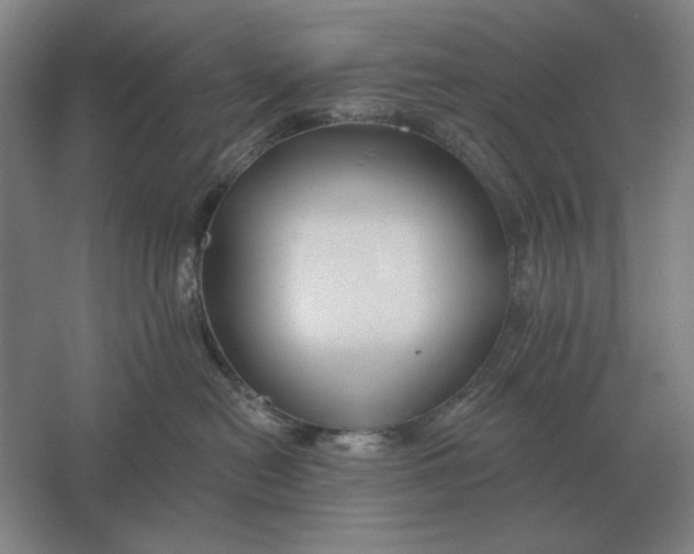 X0000061730478200512161627