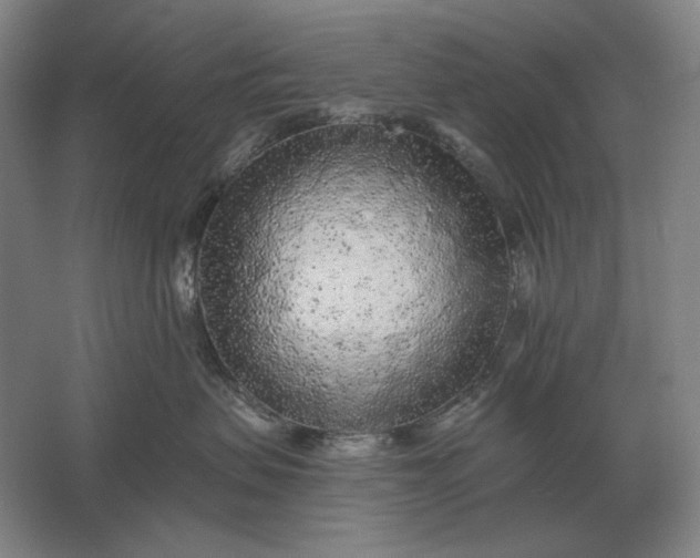 X0000061730479200512161627