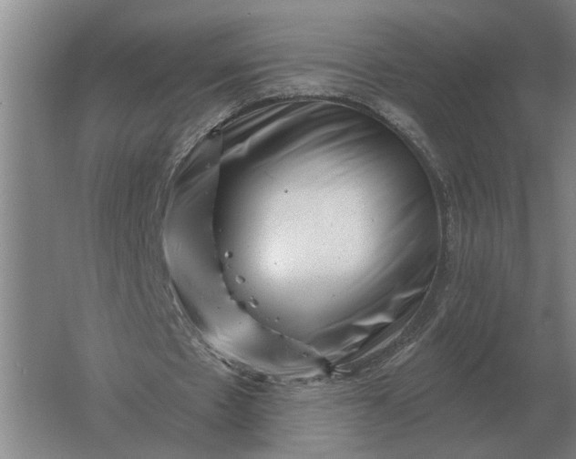 X0000061730481200512161626