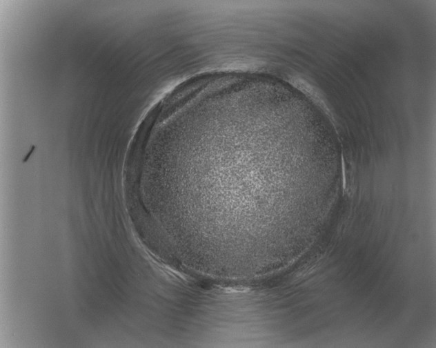 X0000061730483200512161626