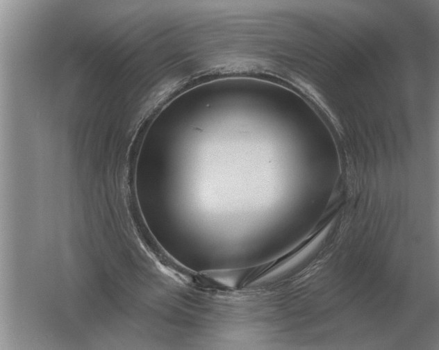 X0000061730485200512161626