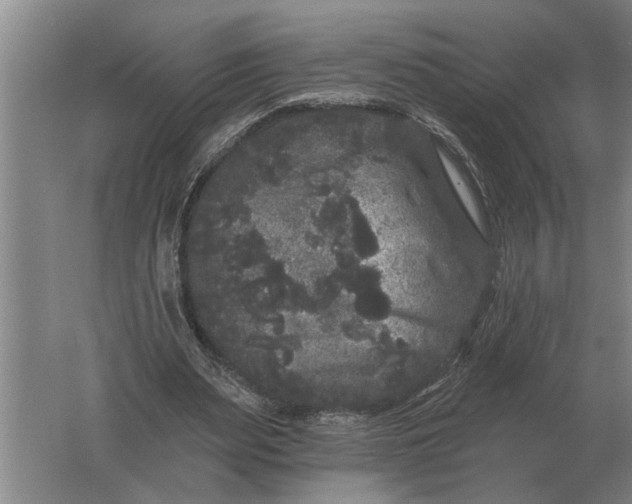 X0000061730487200512161626