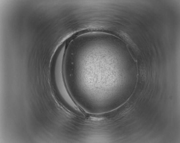 X0000061730488200512161626