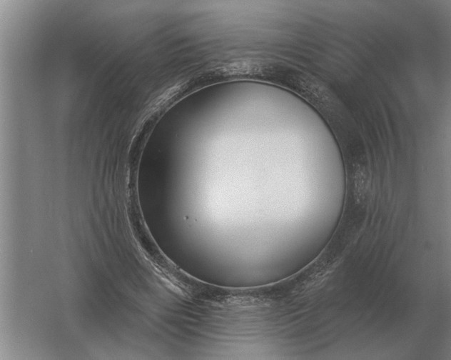 X0000061730490200512161626