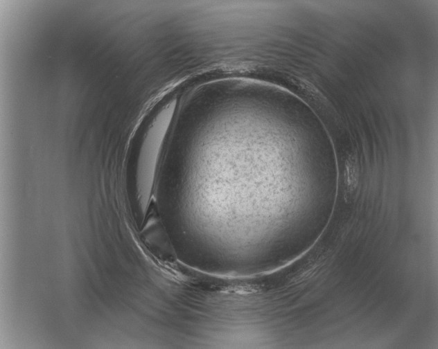 X0000061730492200512161626