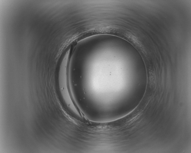 X0000061730493200512161626