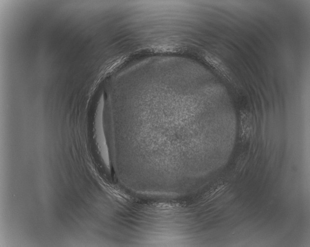 X0000061730494200512161626