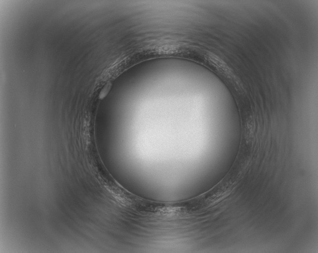 X0000061730497200512161626