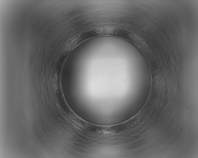 X0000061730498200512161626