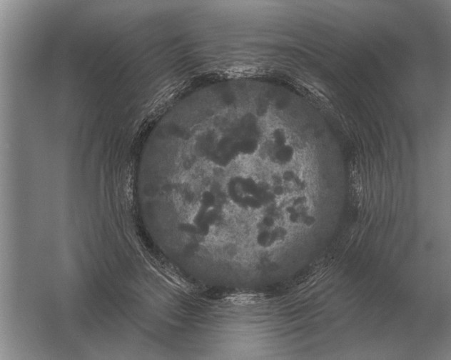 X0000061730499200512161626