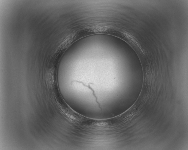 X0000061730501200512161626