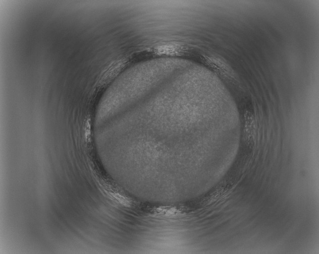 X0000061730502200512161626