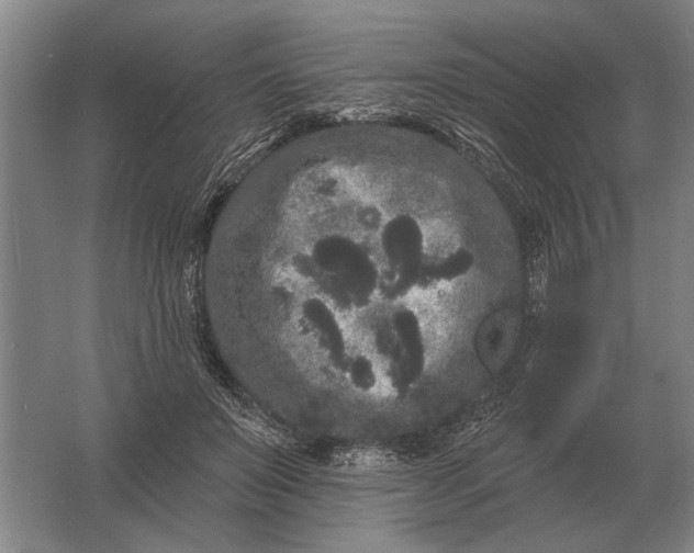 X0000061730503200512161626