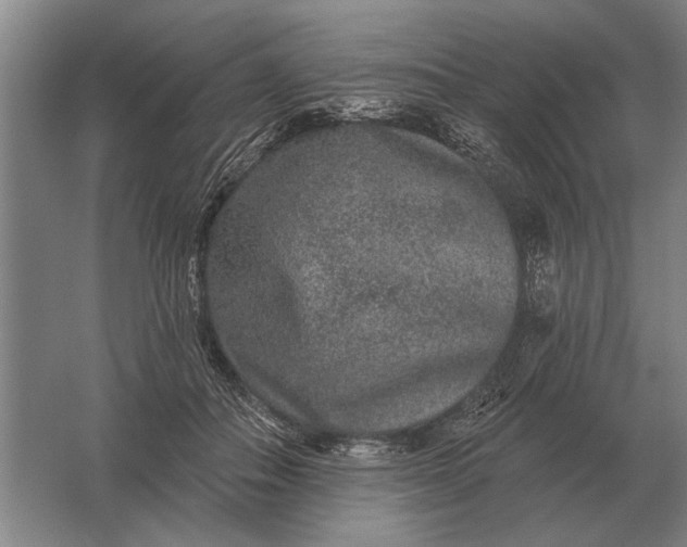 X0000061730506200512161626