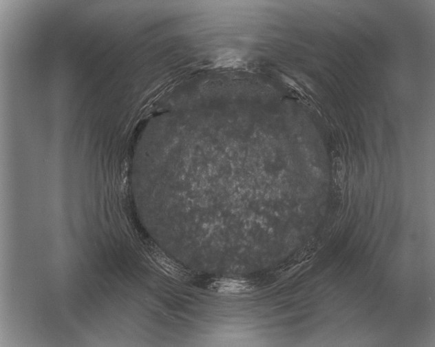 X0000061730507200512161626